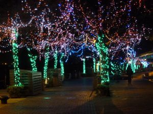 聖誕節LED燈飾 樹燈佈置