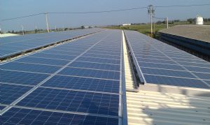 畜牧場屋頂|建置太陽能發電系統